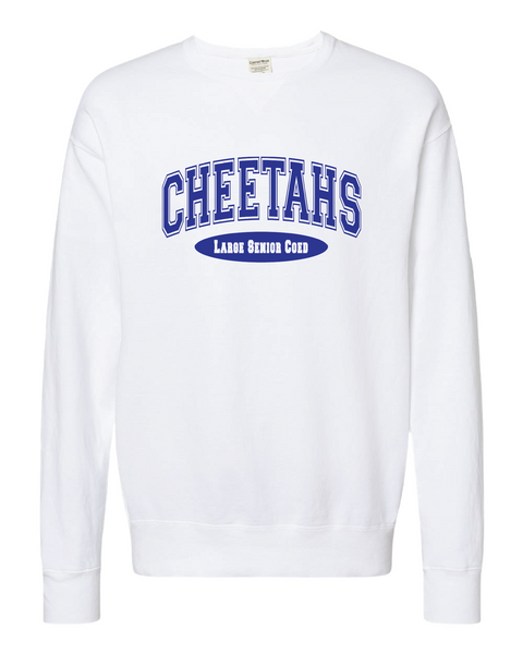 Cheetahs Collegiate