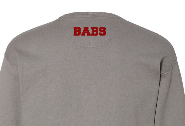 Panthers Jersey Notch Crewneck