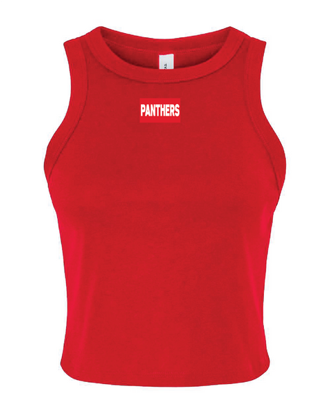 Panthers Woven Label Set