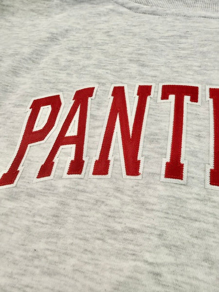 Panthers Mock Neck Sweatshirt